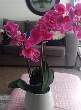 Pink Orchid Artificial Plant in White Ceramic Pot - Home Accents
